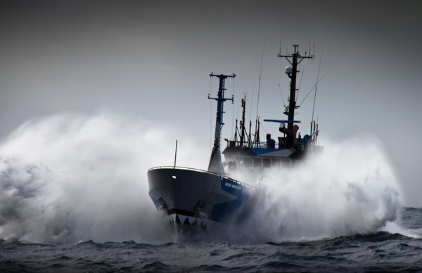 Sea Shepherd Navy Strength Batch #1 - Islay Single Malt Whisky 57,1%